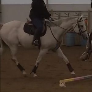 Meet your Posher, Evie